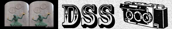 DSS logo